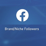 buy Facebook business page followers