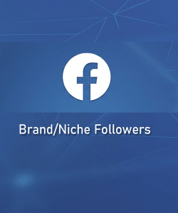 buy Facebook business page followers 3
