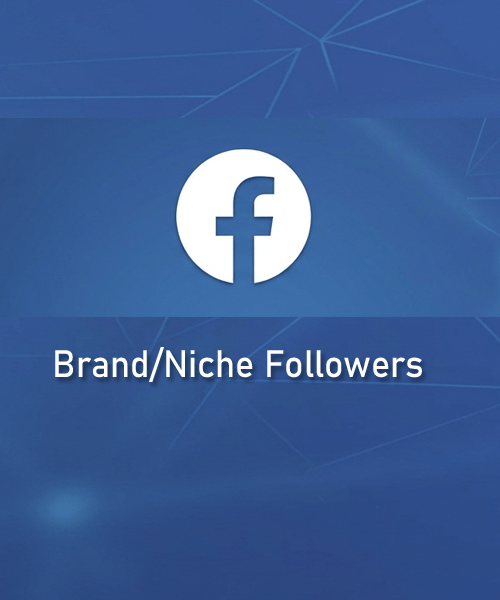 buy Facebook business page followers
