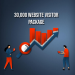 buy-website-traffic-worldwide
