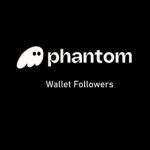 Buy Phantom Wallet Followers