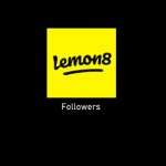 lemon8 followers