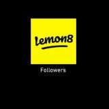 lemon8 followers