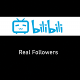 Buy Bilibili Followers