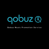 Buy Qobuz Music Promotion Service